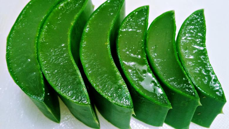 Free stock image of Dark Green Aloe Vera Leaf Slices created by Farzana Ahmad Awan