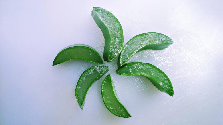 Free stock image of Aloe Vera Leaf Slices  created by Farzana Ahmad Awan