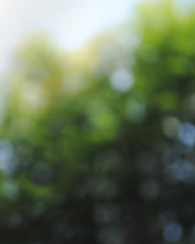Free stock image of green bokeh background created by nl photography