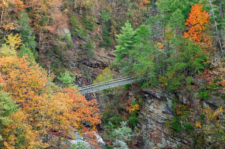 Free stock image of Autumn Tallulah Bridge Gorge created by Nicolas Raymond