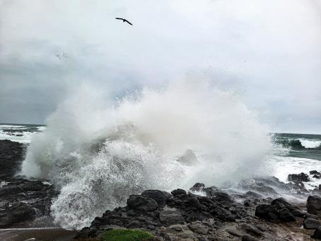 Above the Waves - Free Stock Photo