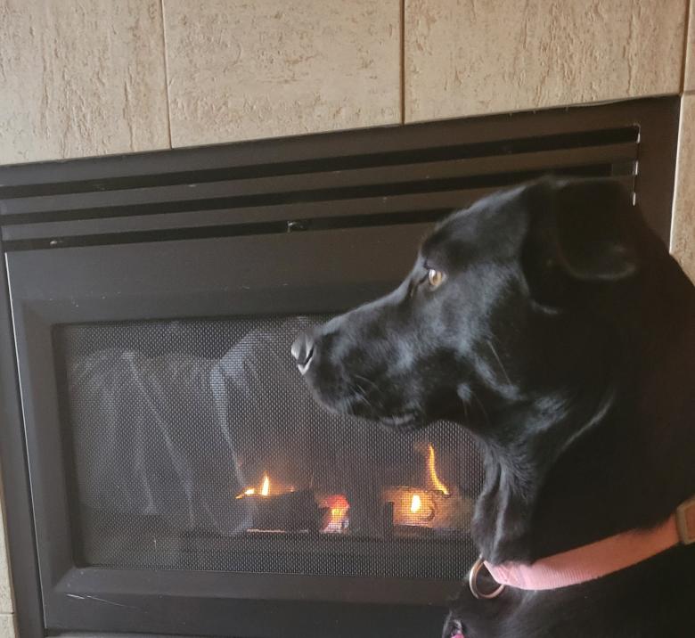 Free stock image of Sitting by the Fire created by Amanda Rescoe