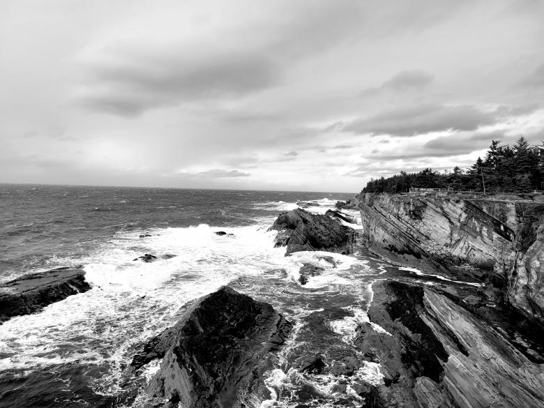 Free stock image of Shore Acres Black and White  created by Amanda Rescoe