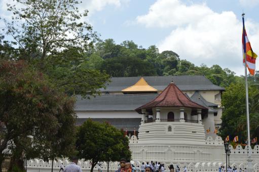 South Asia's Tallest Buddha Statue | Sri Lanka - Free Stock Photo