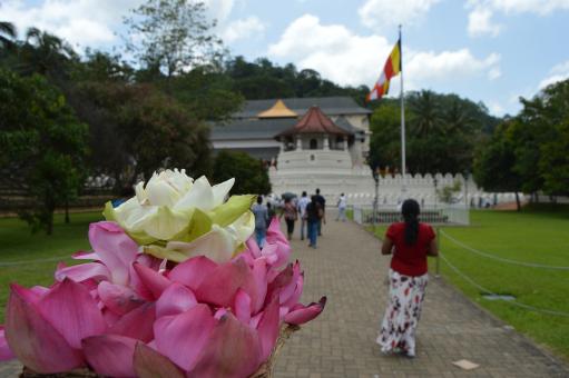 South Asia's Tallest Buddha Statue | Sri Lanka