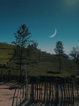 Moon and the Landscape - Free Stock Photo