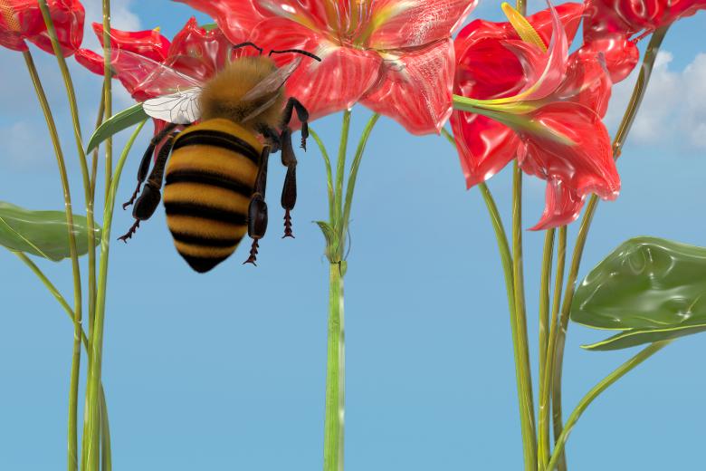 Free stock image of Glossy style beautiful flowers with bee created by John Leaver