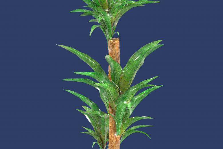 Free stock image of Glossy style beautiful plant created by John Leaver