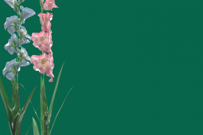 Free stock image of Glossy style beautiful flowers created by John Leaver