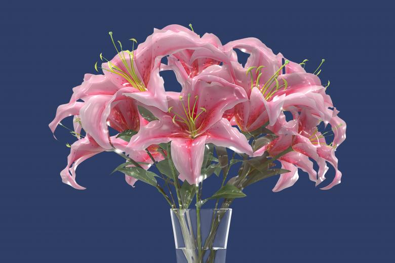 Free stock image of Glossy style beautiful flowers created by John Leaver