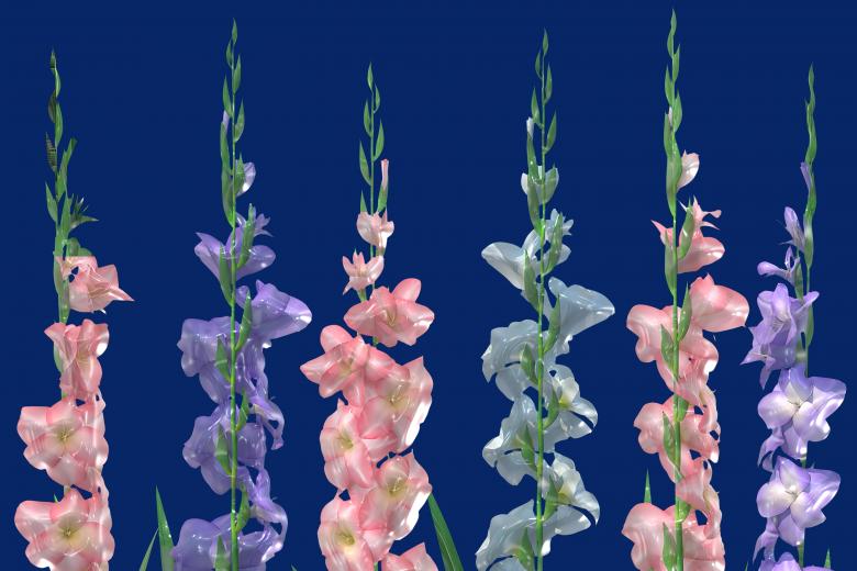 Free stock image of Glossy style beautiful flowers created by John Leaver