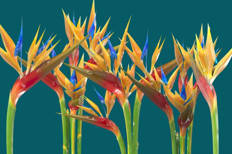 Free stock image of Glossy style beautiful flowers created by John Leaver