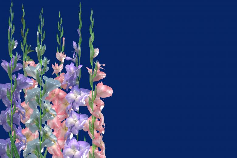 Free stock image of Glossy style beautiful flowers created by John Leaver