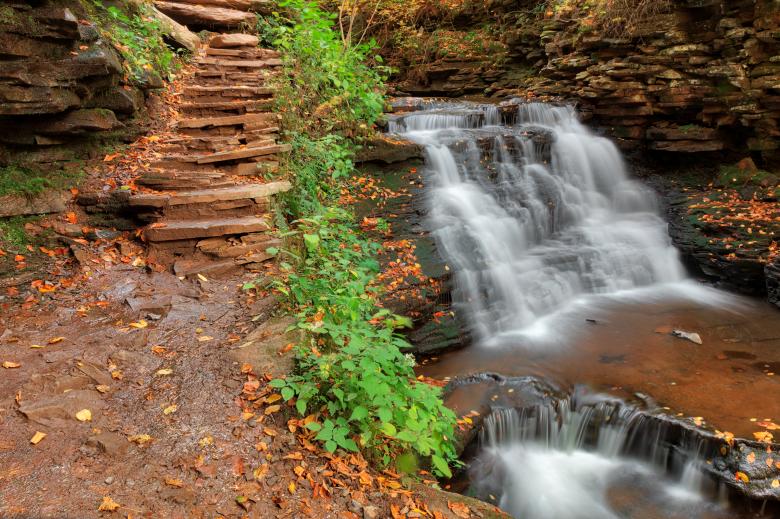 Free stock image of Ricketts Glen Step Falls created by Nicolas Raymond