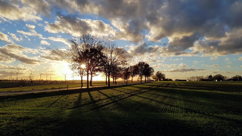 Free stock image of Sunset Trees  created by Christoph Ahlers