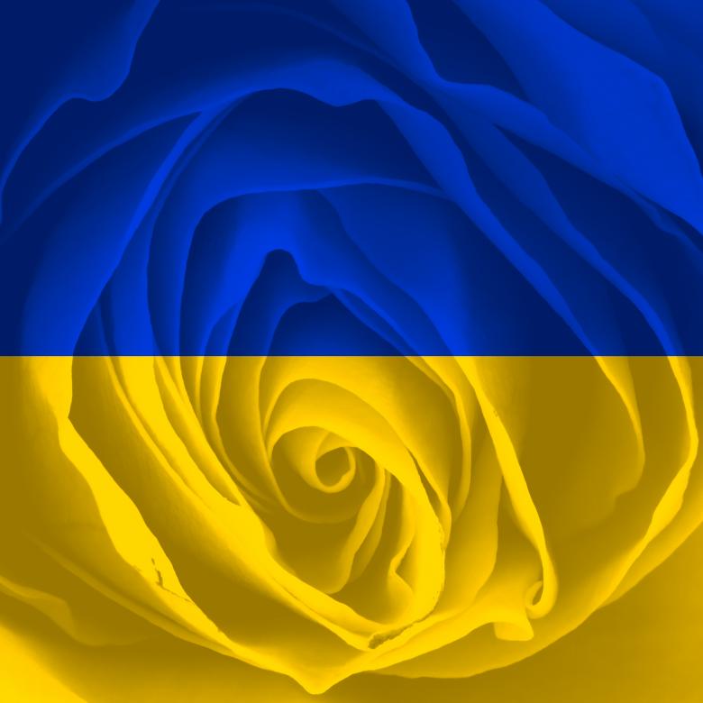 Free stock image of Ukraine Rose created by Nicolas Raymond