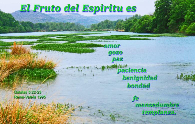 Free stock image of El Fruto del Espiritu Es created by DFNatureAwed