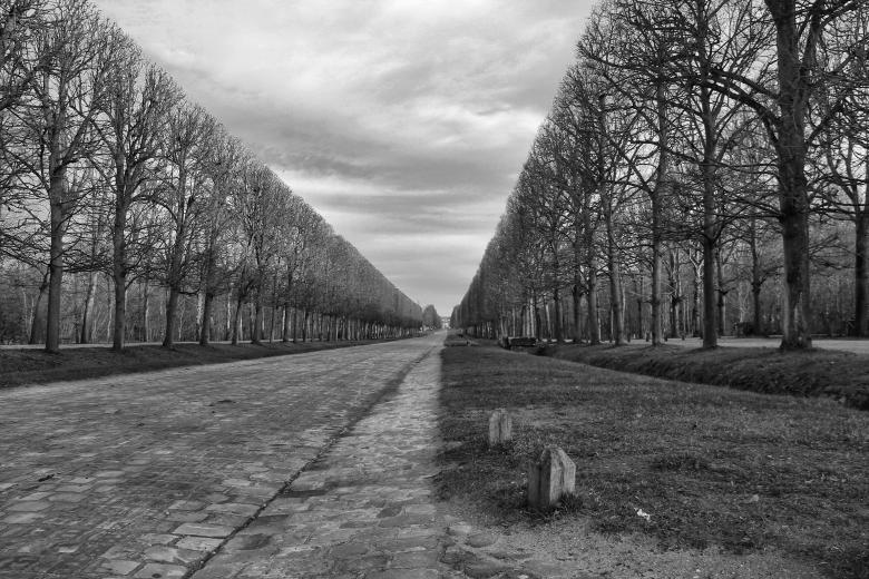 Free stock image of Winter Versaille  created by Oleg  Ы