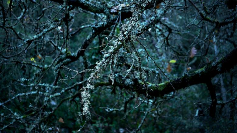 Free stock image of A cold breeze created by Dreamlandscape