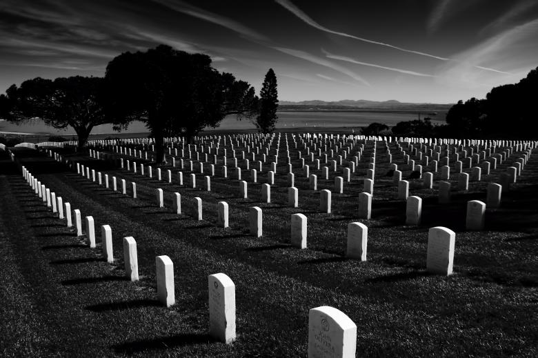 Free stock image of Military Cemetery created by Oleg  Ы