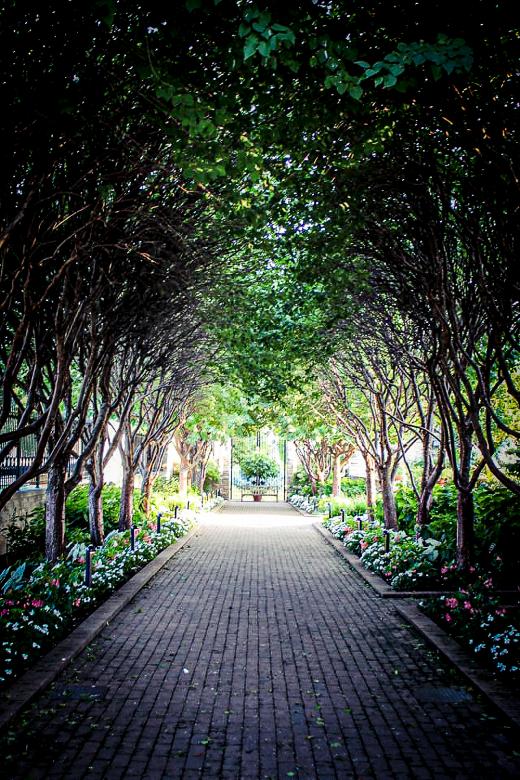 Free stock image of Walkway created by Ashten Clark PETERS