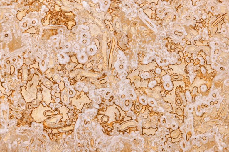 Free stock image of Nougat Cream Stone created by Nicolas Raymond