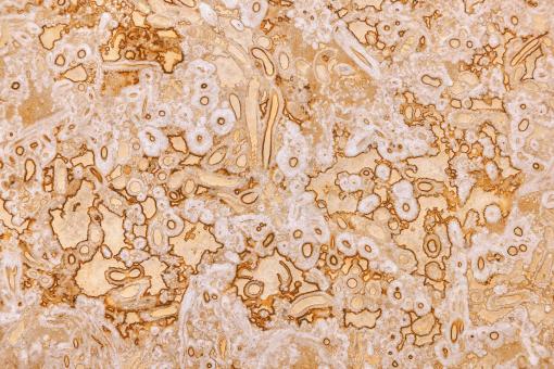 Free Stock Photo of Nougat Cream Stone