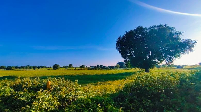 Free stock image of Nature created by Anand Nagnath Yemul