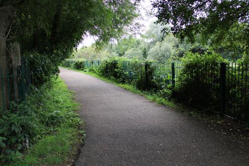 Footpath - Free Stock Photo