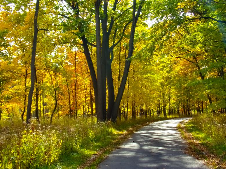 Free stock image of Autumn Trail created by Mq Best Visual Arts