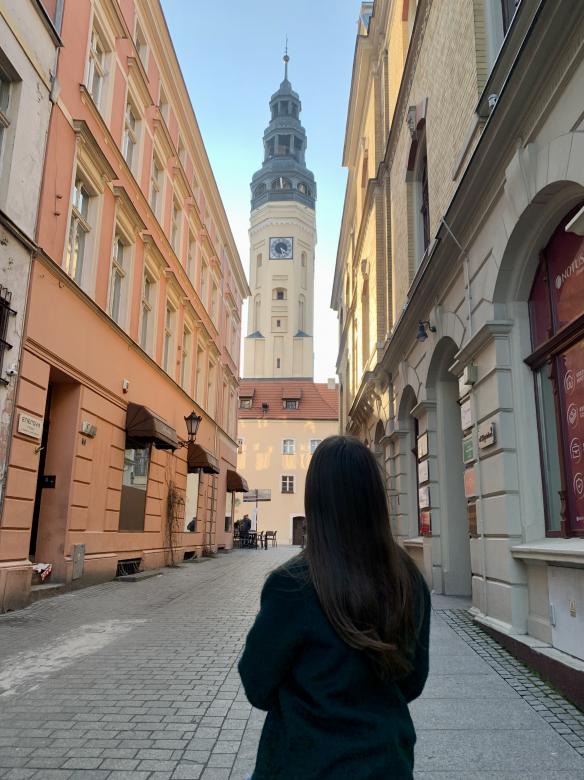 Free stock image of town hall created by Iryna Belianinava
