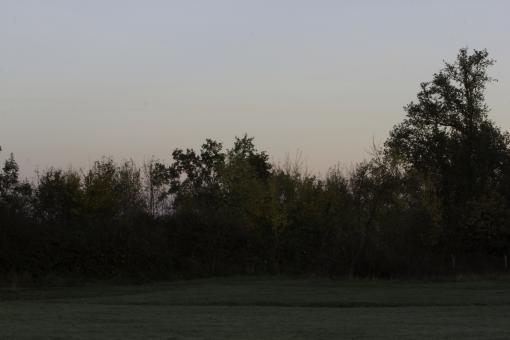 Landscape sint Pietersberg - Free Stock Photo