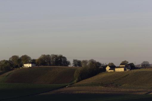 Apostel Hoeve - Free Stock Photo