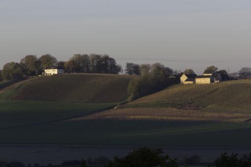 Apostel Hoeve - Free Stock Photo