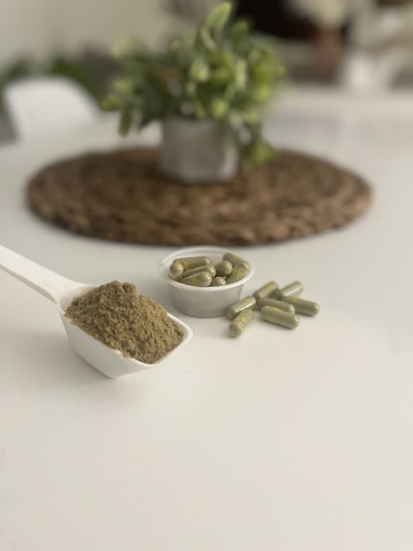 Free stock image of Kratom powder and kratom capsules created by Kratom Lords
