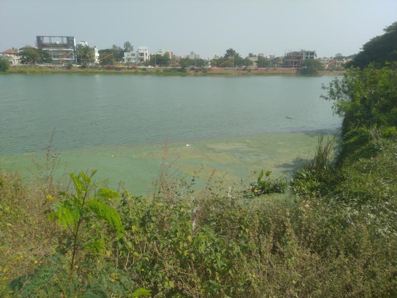 Free stock image of Lake in a city created by Nagabhushan Biliangadi
