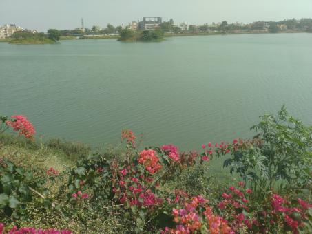 Lake in a city - Free Stock Photo