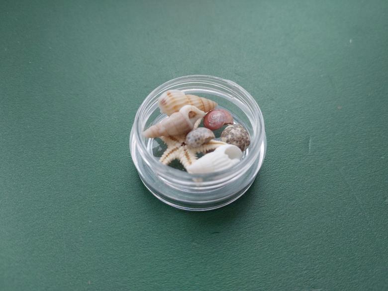 Free stock image of Sea and ocean small shells created by Oleg Prokopenko