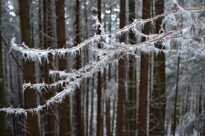 Free stock image of winter created by Ashley A. Rollo