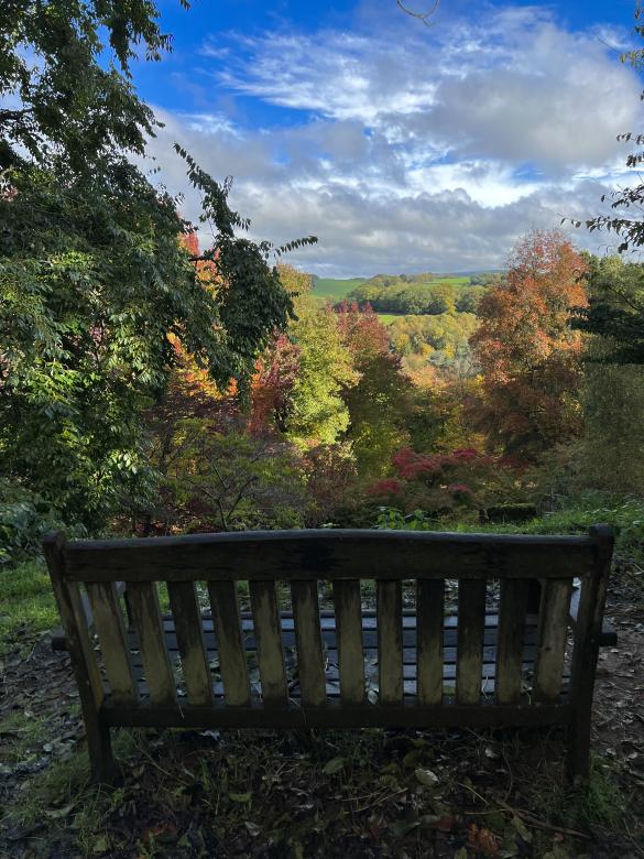 Free stock image of Nature View  created by Cenk Serçe