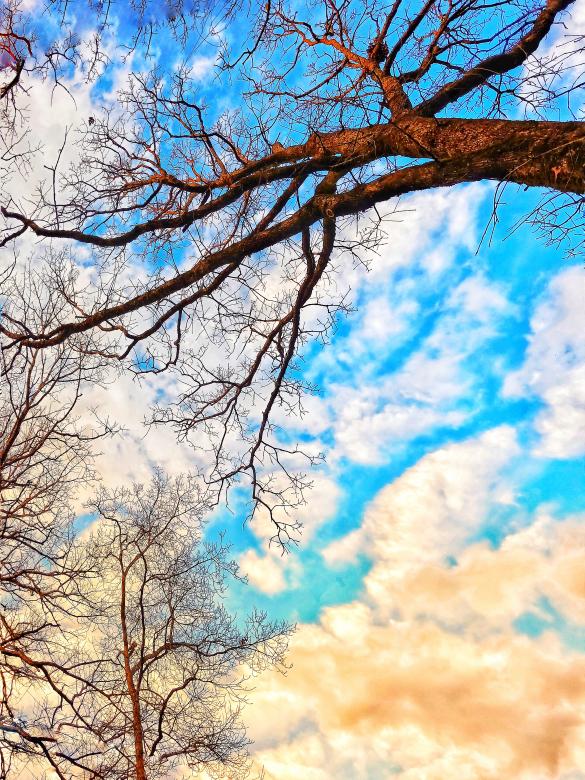 Free stock image of Clouds  created by Samantha Mae Carter