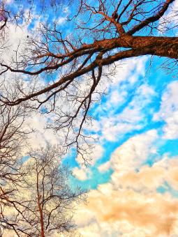 Clouds  - Free Stock Photo
