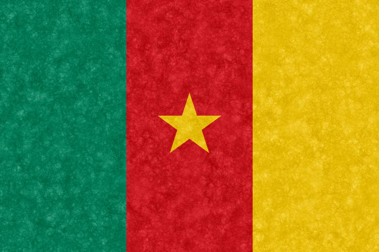 Free stock image of Velvet Flag - Cameroon created by Nicolas Raymond