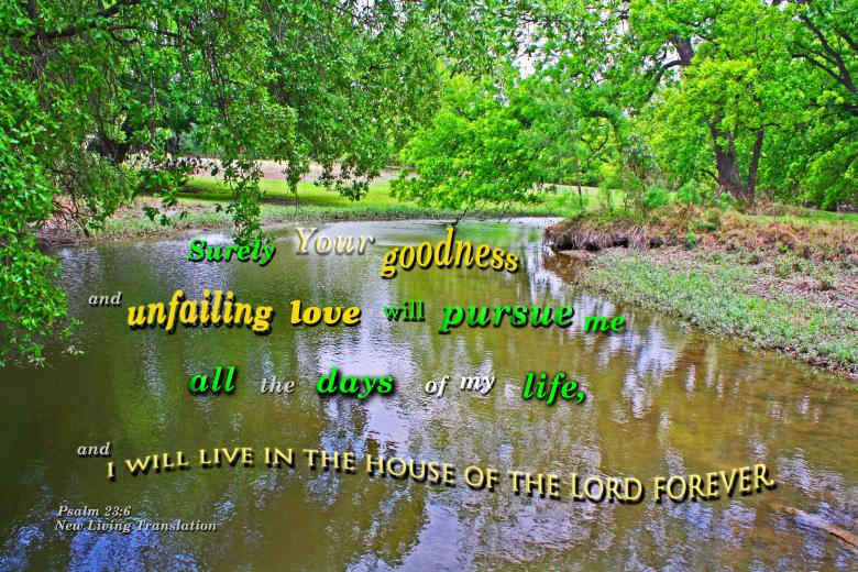 Free stock image of Surely Goodness Will Follow Me created by DFNatureAwed
