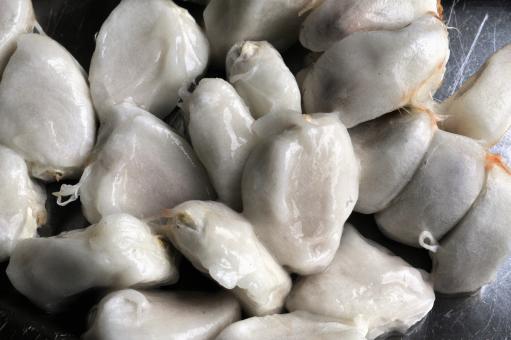  Cacau - Free Stock Photo