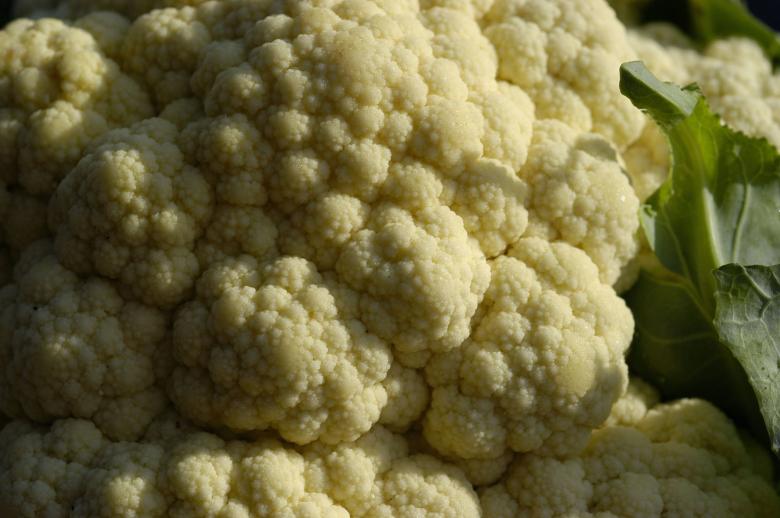 Free stock image of Cauliflower created by Paulo Pedro P R Costa