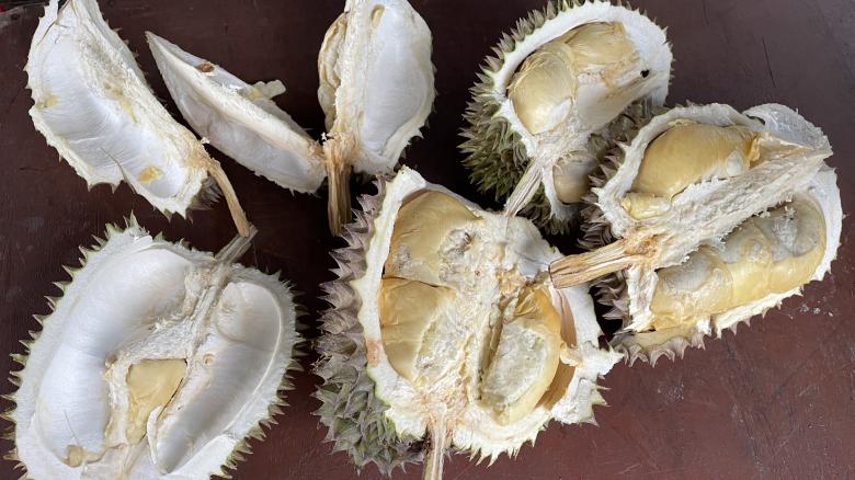 Free stock image of High angle view of durian on table created by Ghassani Ghina Amirah
