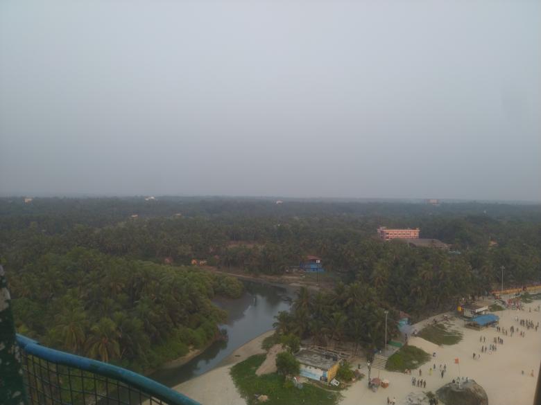 Free stock image of Tree View from the Top created by Nagabhushan Biliangadi
