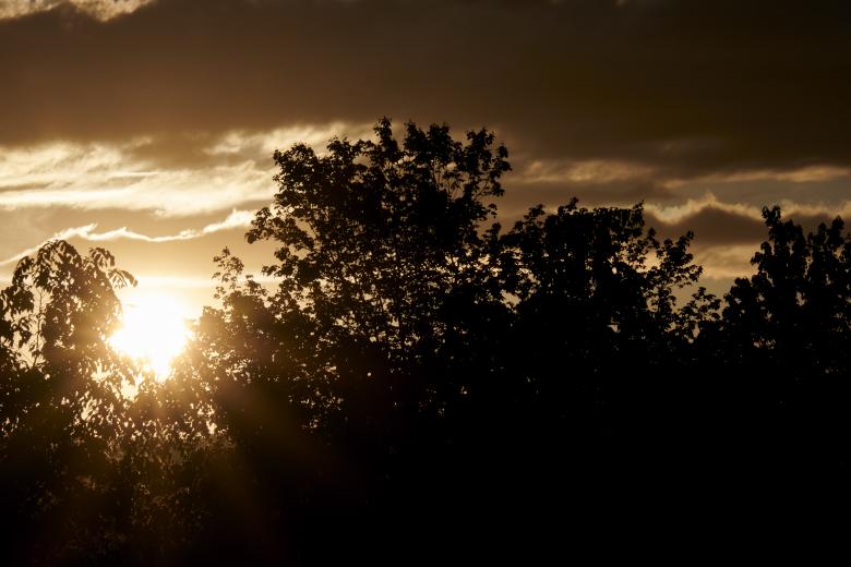 Free stock image of Golden sunset created by Secret Agency