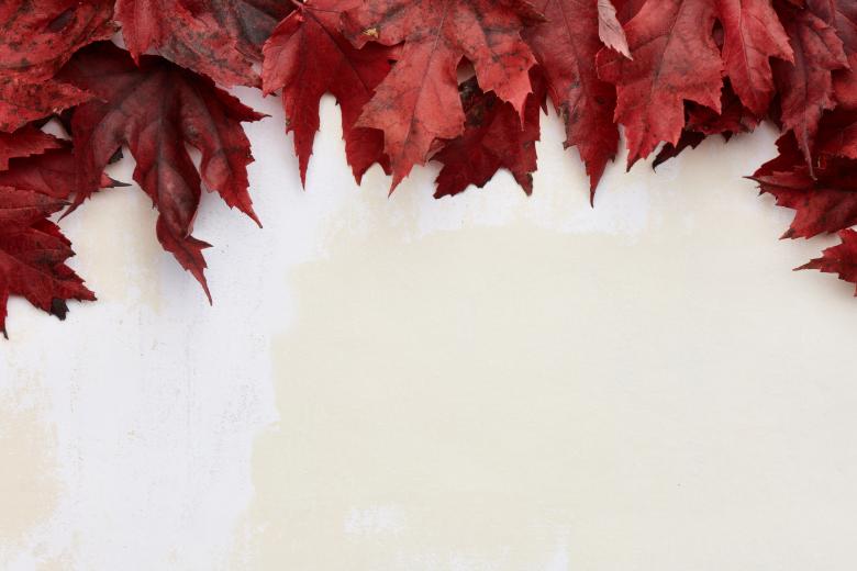 Free stock image of Fall background created by Seacoast sage